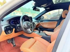 2021 BMW 5 Series(Imported) 2021 2.0T AT 530i MSport Pkg (Imported) #8