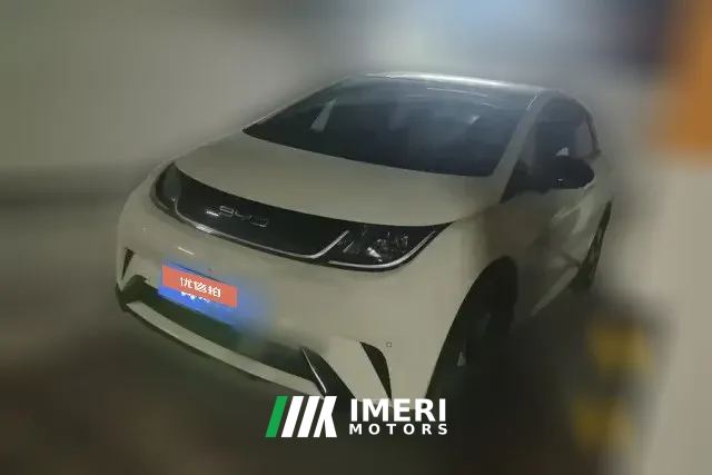 2023 BYD Dolphin 2023 420km Fashion