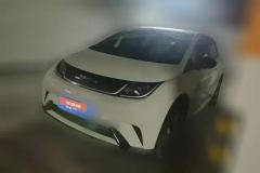 2023 BYD Dolphin 2023 420km Fashion #1