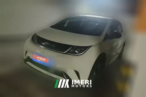 2023 BYD Dolphin 2023 420km Fashion