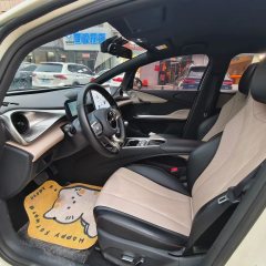 2024 BYD Dolphin 2023 420km freeEdition #4