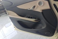 2024 BYD Dolphin 2025 420km vitalityEdition #7