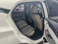 2022 BYD Yuan Pro 2021 want to love1bornEdition #11