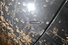 Right Rear Door