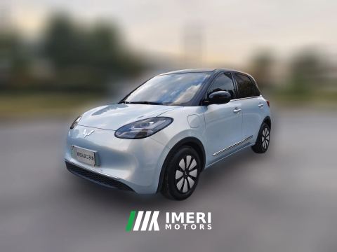 2025 Wuling Motors Wuling Bingo 2025 333km Joy