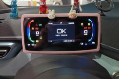 2024 BYD Seagull 2024 Glory 305KM freeEdition #14