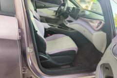 2022 BYD Dolphin 2021 405km Fashion #8