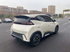 2024 BYD Seagull 2024 Glory 405KM flyEdition #9