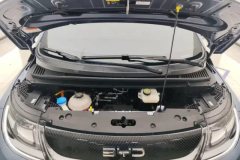2025 BYD Dolphin 2025 Smart Drive 420km freeEdition #10