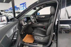 2022 GAC Trumpchi Trumpchi GS8 2022 PilotSeries 2.0TGDI AT 2WDLuxurySmart Connect（6Seat） #9