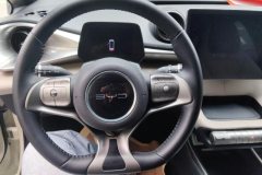 2023 BYD Dolphin 2021 405km Fashion #15