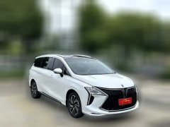 2023 Dongfeng Fengxing Fengxing Youting 2022 1.5T AT DCTChase the wavesEdition #3