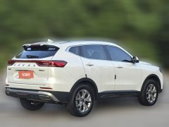 2022 Haval H6 2021 1.5T AT China tideChampionGDI #4