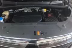 2021 Roewe iMAX8 2021 2.0T AT 400TGISupremeSeriesHonor #10