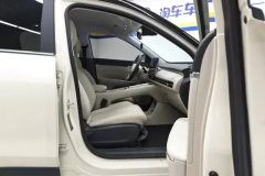 2025 Wuling Motors Wuling Bingo S 2025 430km Flagship #8