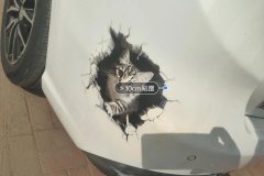 Rear Bumper