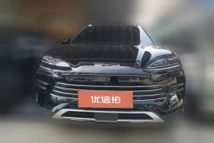 2024 BYD Song Plus New Energy 2024 Glory 1.5L AT DM-i 110km Flagship #2
