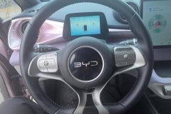 2024 BYD Dolphin 2025 520km knightEdition #15