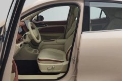 2025 Ora Good Cat 2025 430km Luxury #13