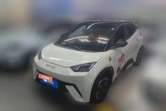 2024 BYD Seagull 2023 flyEdition #1