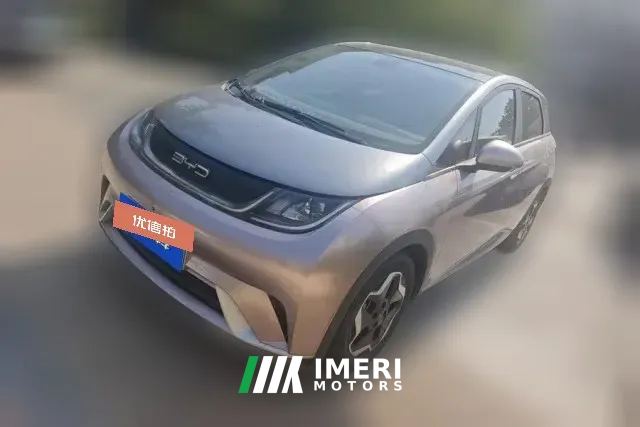 2022 BYD Dolphin 2021 405km Fashion