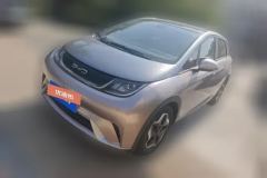 2022 BYD Dolphin 2021 405km Fashion #1