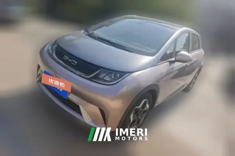 2022 BYD Dolphin 2021 405km Fashion