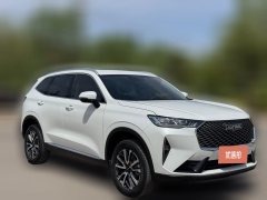 2024 Haval H6 2022 No.3generation 1.5T AT 2WDPro #3