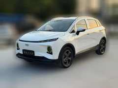 2022 Geometry E Firefly 2023 401KM Exquisite Tiger 5Seat #1
