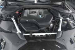 2019 BMW 5 Series 2019 2.0T AT 530LiLeadingLuxury Pkg #10