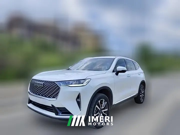 2020 Haval H6 2021 1.5T AT No.3generation2WDMax