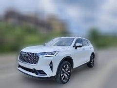 2020 Haval H6 2021 1.5T AT No.3generation2WDMax #1