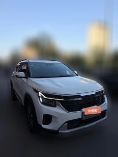 2024 Kia Seltos 2023 1.5L AT CVTLuxury #2