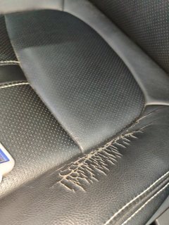Driver Seat