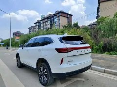 2020 Haval H6 2021 1.5T AT No.3generation2WDMax #6