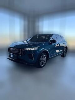 2022 Haval Chitu 2022 Power Enjoy 1.5T AT Copper Rabbit #1