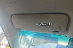 Driver Sun Visor