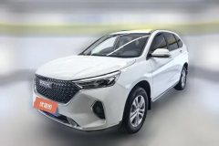 2023 Haval M6 2021 1.5T AT DCTEliteSmart ConnectPLUS #1