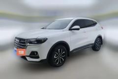 2023 Haval H6 2021 1.5T AT China tideUrbanEdition #1
