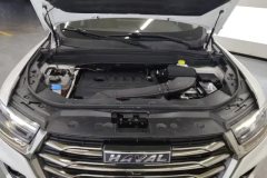 2022 Haval H6 2021 1.5T AT China tideChampion #10