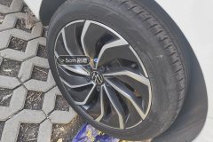 მარცხენა უკანა დისკი