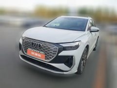 2023 Audi Q4 e-tron 2022 40 e-tron EnactusEdition #1