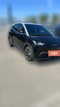 2024 BYD Seagull 2024 Glory 305KM freeEdition #1