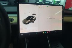 2020 Tesla Model 3 2020 StandardBattery lifeRWDUpgradeEdition #14
