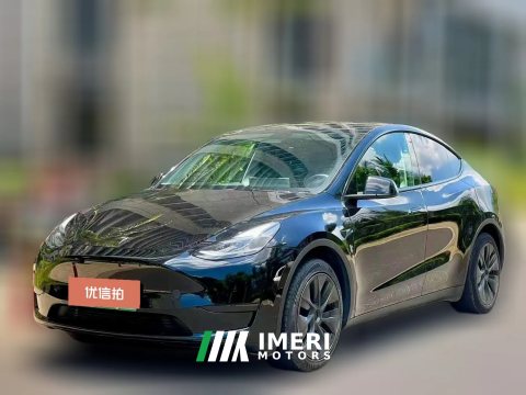2022 Tesla Model Y 2022 rear wheel driveEdition