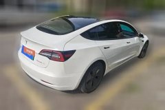 2021 Tesla Model 3 2021 StandardBattery lifeRWDUpgradeEdition 3D6 #3