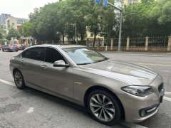 2016 BMW 5 Series 2014 2.0T AT 528LiLeading #5