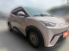 2024 BYD Seagull 2023 vitalityEdition #3