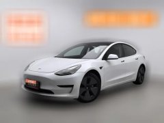 2021 Tesla Model 3 2021 StandardBattery lifeRWDUpgradeEdition #1
