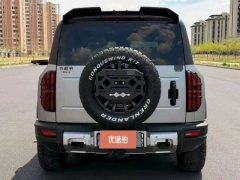 2024 Fangchengbao Bao5 2023 Pilot #8